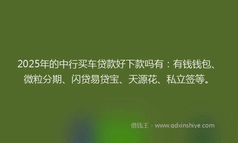 2025年的中行买车贷款好下款吗有：有钱钱包、微粒分期、闪贷易贷宝、天源花、私立签等。