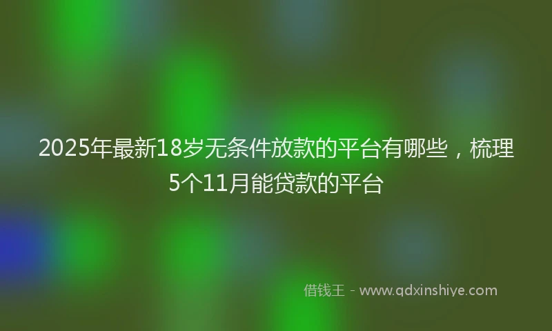 2025年最新18岁无条件放款的平台有哪些，梳理5个11月能贷款的平台