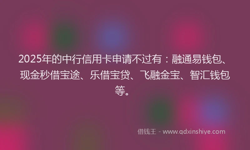 2025年的中行信用卡申请不过有：融通易钱包、现金秒借宝途、乐借宝贷、飞融金宝、智汇钱包等。