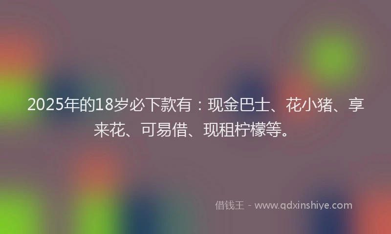 2025年的18岁必下款有：现金巴士、花小猪、享来花、可易借、现租柠檬等。