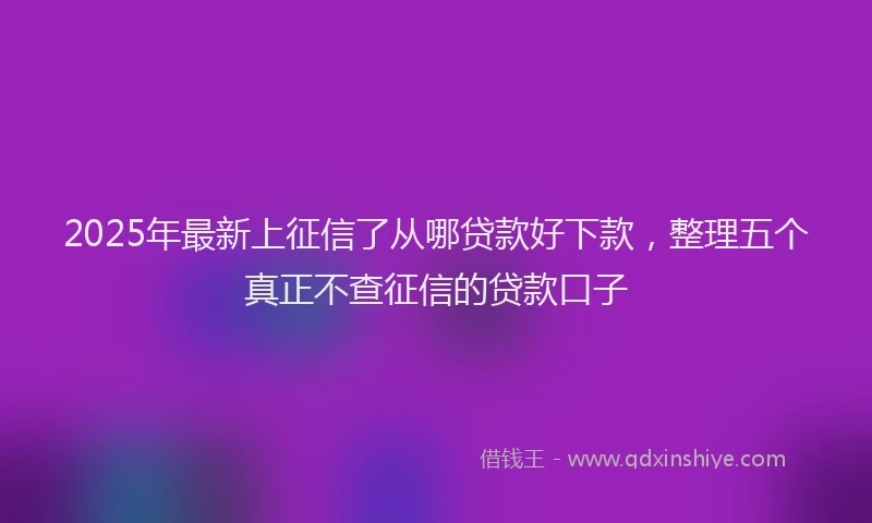 2025年最新上征信了从哪贷款好下款，整理五个真正不查征信的贷款口子