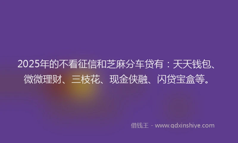 2025年的不看征信和芝麻分车贷有：天天钱包、微微理财、三枝花、现金侠融、闪贷宝盒等。
