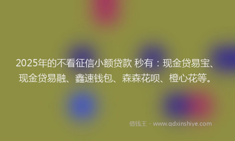 2025年的不看征信小额贷款 秒有：现金贷易宝、现金贷易融、鑫速钱包、森森花呗、橙心花等。