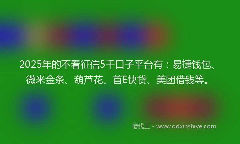 2025年的不看征信5千口子平台有：易捷钱包、微米金条、葫芦花、首E快贷、美团借钱等。