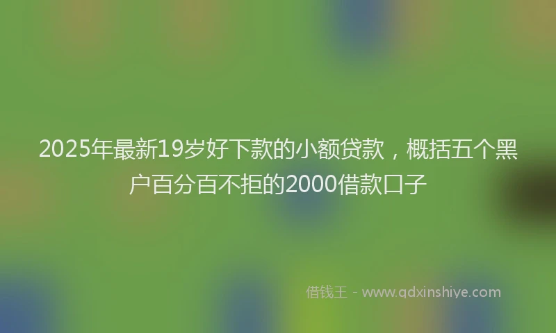 2025年最新19岁好下款的小额贷款，概括五个黑户百分百不拒的2000借款口子