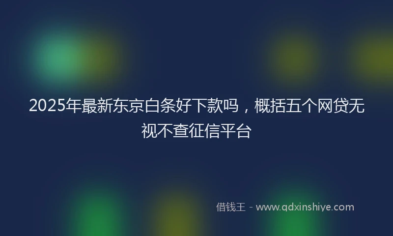 2025年最新东京白条好下款吗，概括五个网贷无视不查征信平台