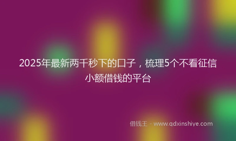2025年最新两千秒下的口子，梳理5个不看征信小额借钱的平台