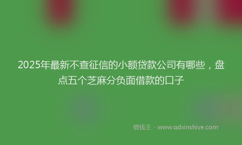 2025年最新不查征信的小额贷款公司有哪些，盘点五个芝麻分负面借款的口子