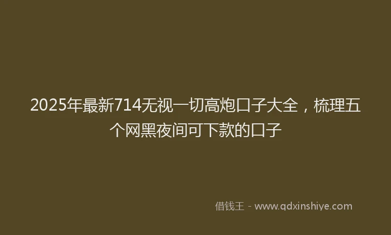 2025年最新714无视一切高炮口子大全，梳理五个网黑夜间可下款的口子