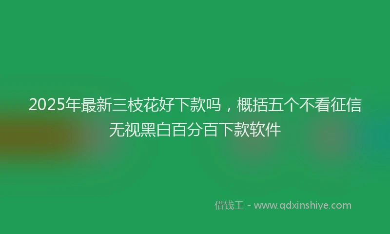 2025年最新三枝花好下款吗，概括五个不看征信无视黑白百分百下款软件