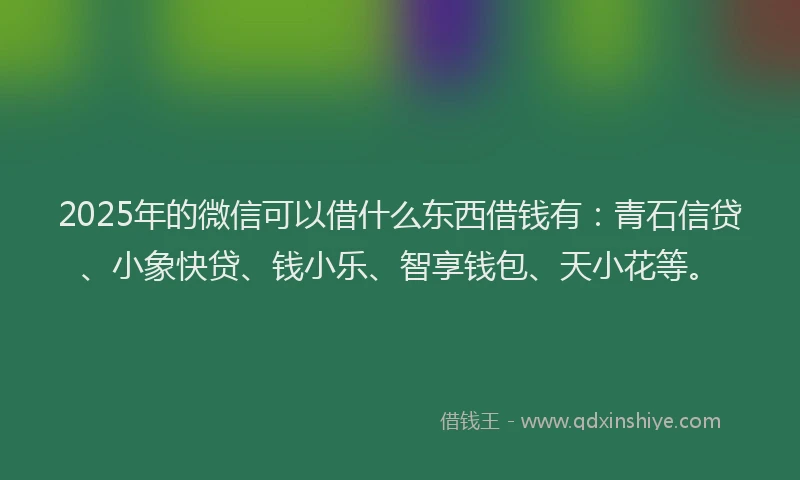 2025年的微信可以借什么东西借钱有：青石信贷、小象快贷、钱小乐、智享钱包、天小花等。