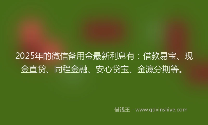 2025年的微信备用金最新利息有：借款易宝、现金直贷、同程金融、安心贷宝、金瀛分期等。