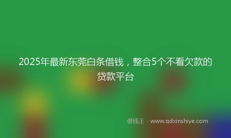 2025年最新东莞白条借钱，整合5个不看欠款的贷款平台