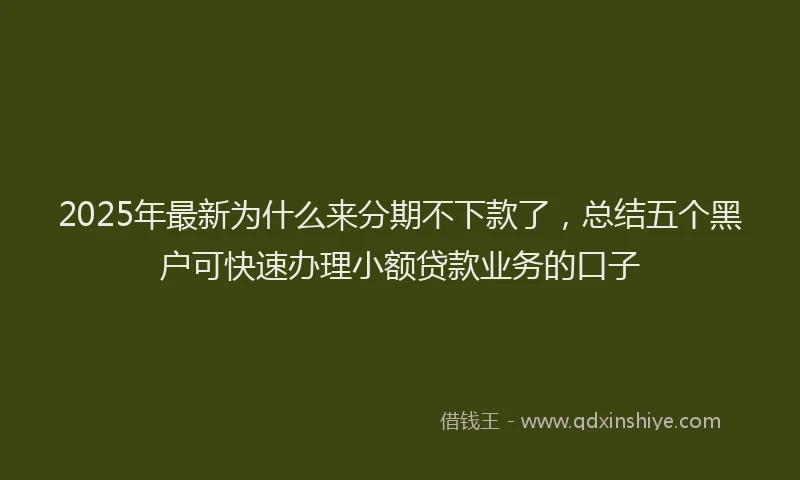 2025年最新为什么来分期不下款了，总结五个黑户可快速办理小额贷款业务的口子