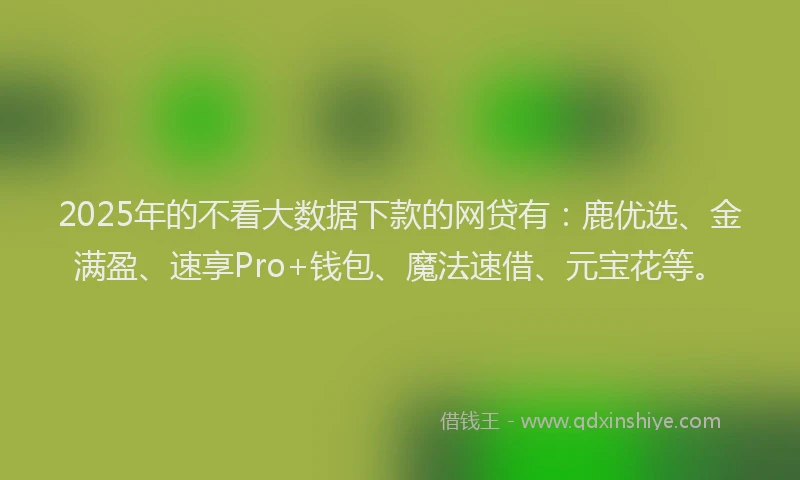 2025年的不看大数据下款的网贷有：鹿优选、金满盈、速享Pro+钱包、魔法速借、元宝花等。