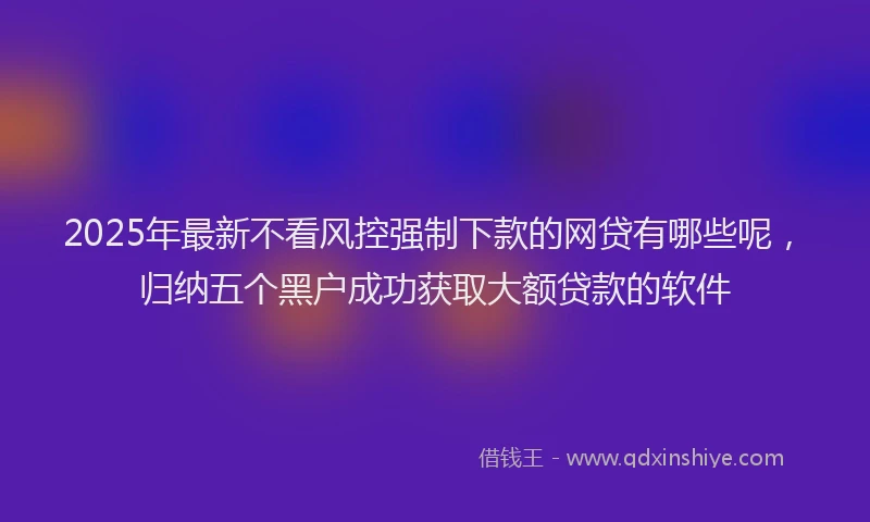 2025年最新不看风控强制下款的网贷有哪些呢，归纳五个黑户成功获取大额贷款的软件