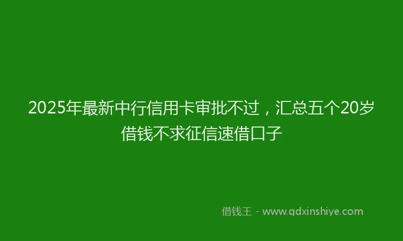 2025年最新中行信用卡审批不过，汇总五个20岁借钱不求征信速借口子
