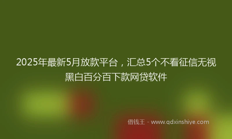2025年最新5月放款平台，汇总5个不看征信无视黑白百分百下款网贷软件