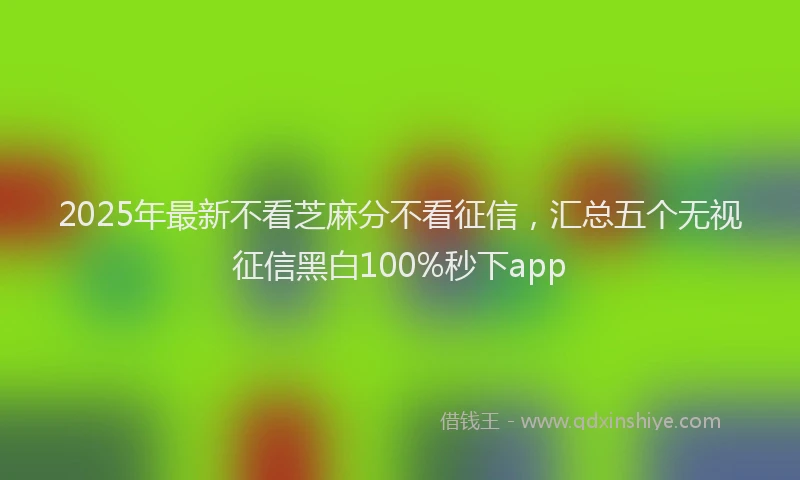 2025年最新不看芝麻分不看征信，汇总五个无视征信黑白100%秒下app