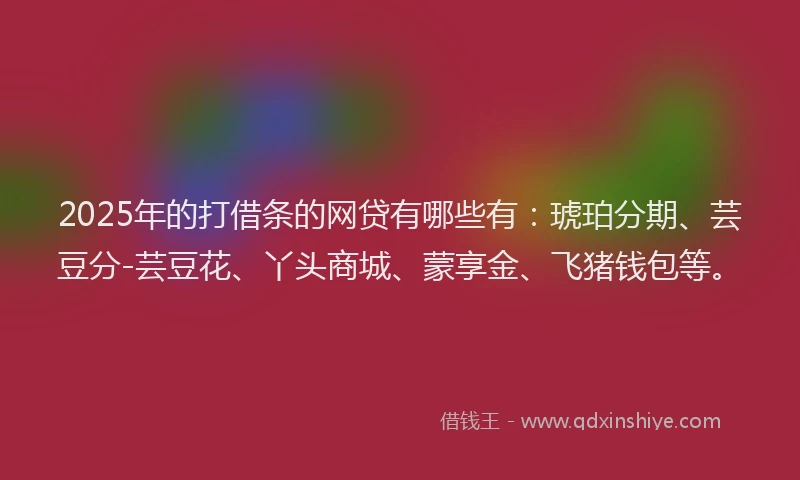 2025年的打借条的网贷有哪些有：琥珀分期、芸豆分-芸豆花、丫头商城、蒙享金、飞猪钱包等。