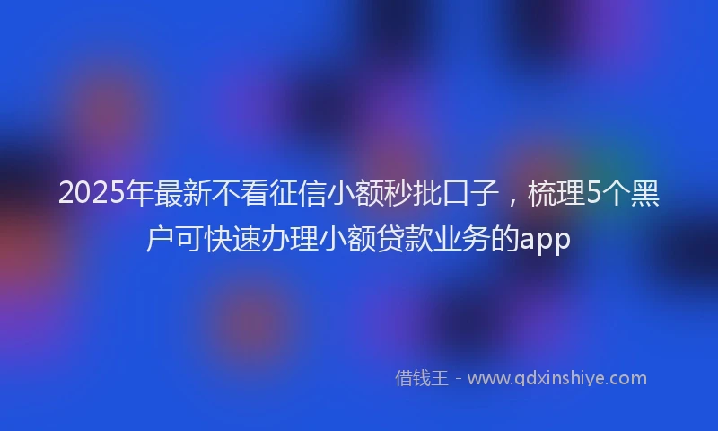 2025年最新不看征信小额秒批口子，梳理5个黑户可快速办理小额贷款业务的app