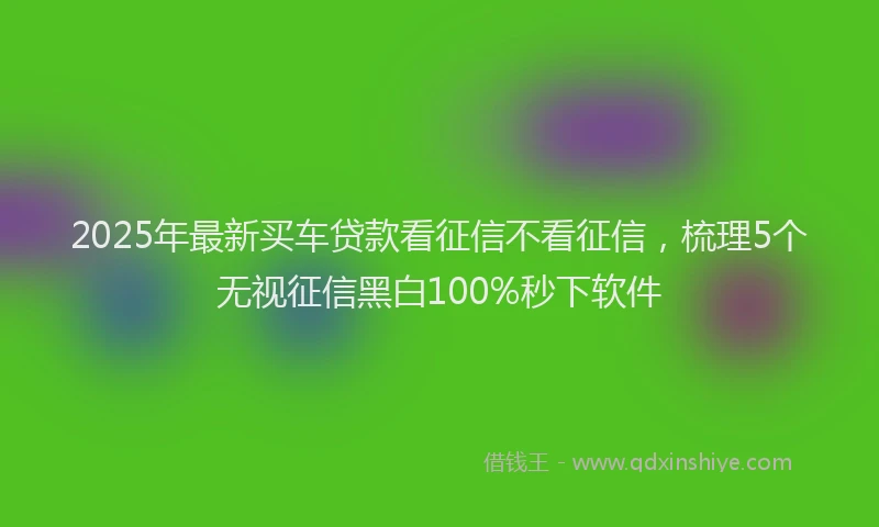 2025年最新买车贷款看征信不看征信，梳理5个无视征信黑白100%秒下软件