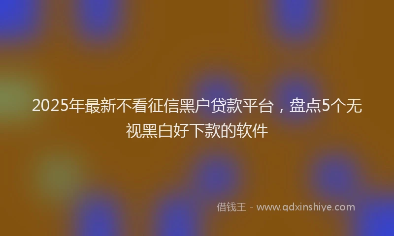 2025年最新不看征信黑户贷款平台，盘点5个无视黑白好下款的软件