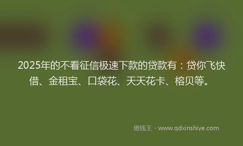 2025年的不看征信极速下款的贷款有：贷你飞快借、金租宝、口袋花、天天花卡、榕贝等。