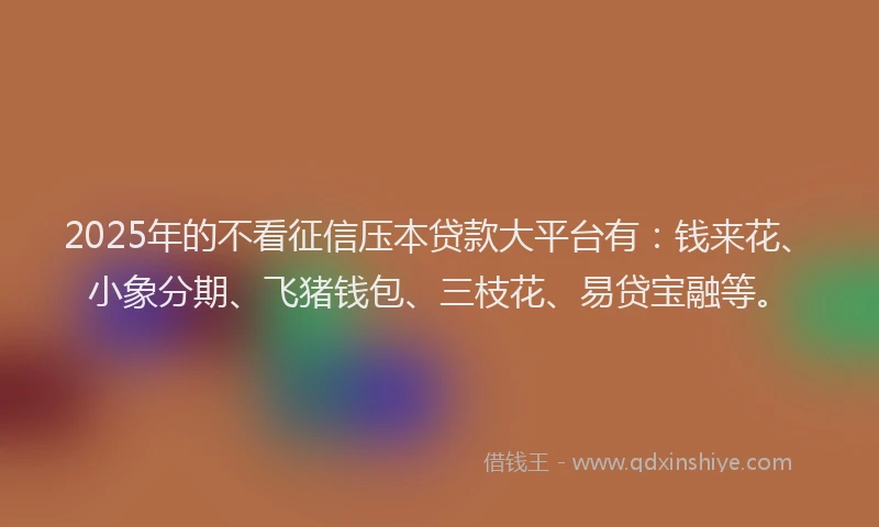 2025年的不看征信压本贷款大平台有：钱来花、小象分期、飞猪钱包、三枝花、易贷宝融等。