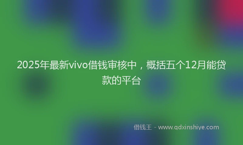 2025年最新vivo借钱审核中，概括五个12月能贷款的平台