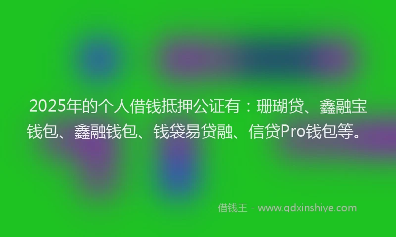 2025年的个人借钱抵押公证有：珊瑚贷、鑫融宝钱包、鑫融钱包、钱袋易贷融、信贷Pro钱包等。