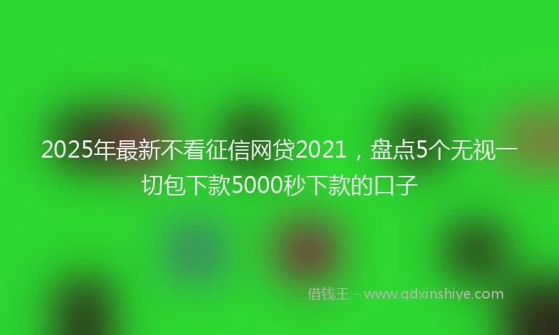 2025年最新不看征信网贷2021，盘点5个无视一切包下款5000秒下款的口子