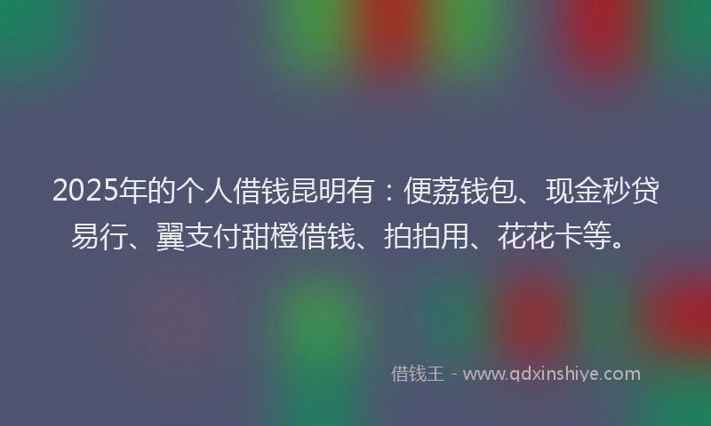 2025年的个人借钱昆明有：便荔钱包、现金秒贷易行、翼支付甜橙借钱、拍拍用、花花卡等。