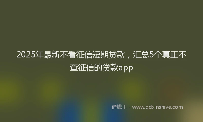 2025年最新不看征信短期贷款，汇总5个真正不查征信的贷款app