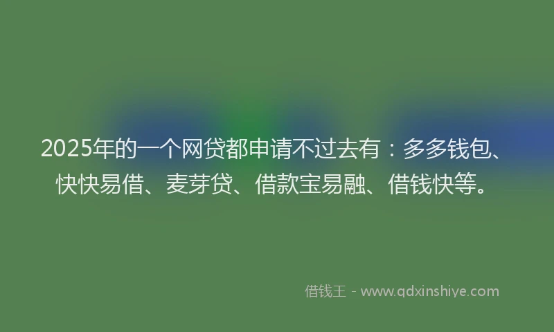 2025年的一个网贷都申请不过去有：多多钱包、快快易借、麦芽贷、借款宝易融、借钱快等。