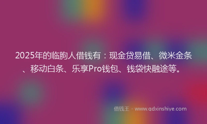 2025年的临朐人借钱有：现金贷易借、微米金条、移动白条、乐享Pro钱包、钱袋快融途等。