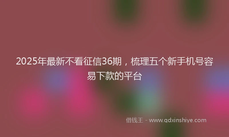 2025年最新不看征信36期，梳理五个新手机号容易下款的平台