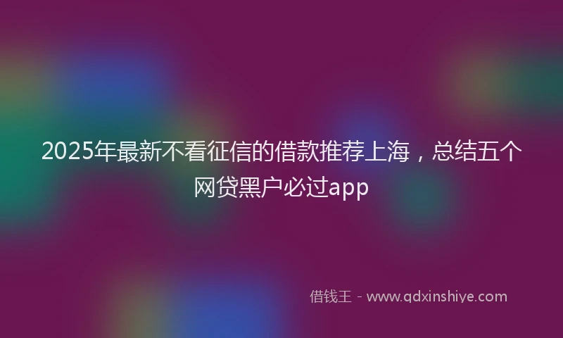 2025年最新不看征信的借款推荐上海，总结五个网贷黑户必过app