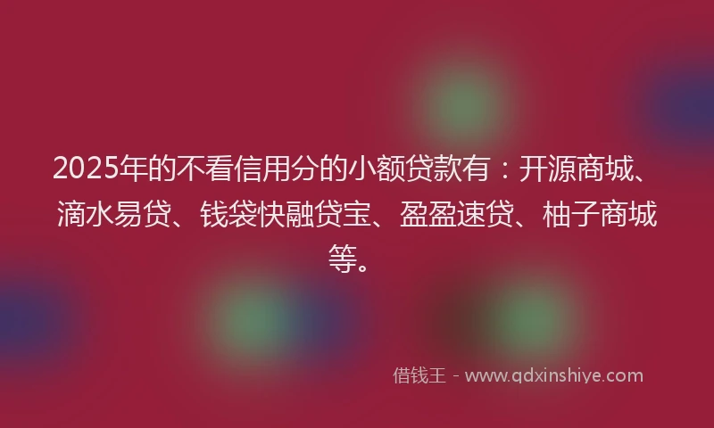 2025年的不看信用分的小额贷款有：开源商城、滴水易贷、钱袋快融贷宝、盈盈速贷、柚子商城等。
