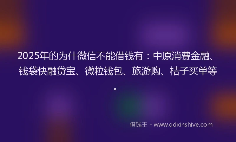 2025年的为什微信不能借钱有：中原消费金融、钱袋快融贷宝、微粒钱包、旅游购、桔子买单等。