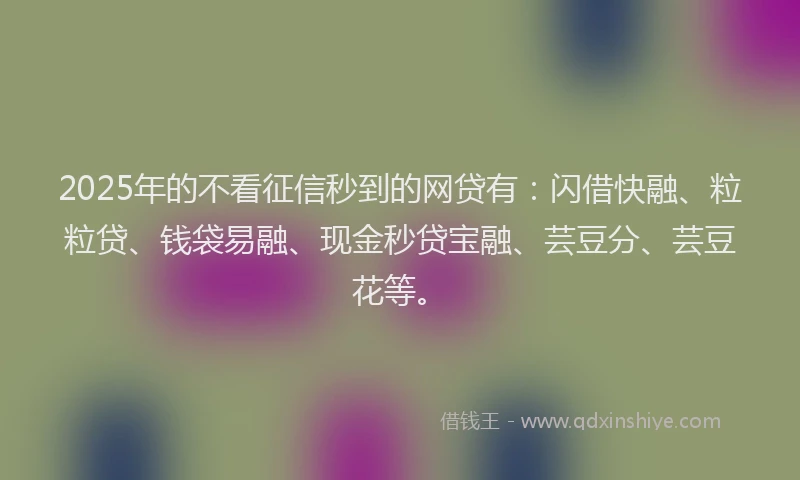 2025年的不看征信秒到的网贷有：闪借快融、粒粒贷、钱袋易融、现金秒贷宝融、芸豆分、芸豆花等。