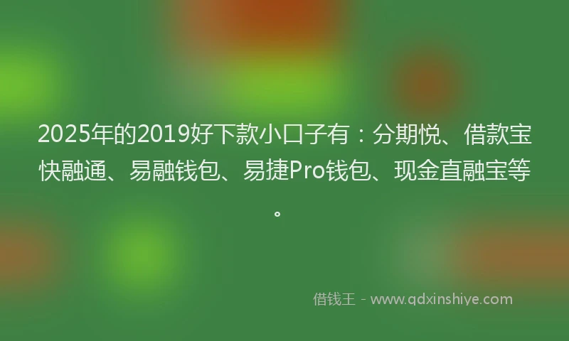 2025年的2019好下款小口子有：分期悦、借款宝快融通、易融钱包、易捷Pro钱包、现金直融宝等。