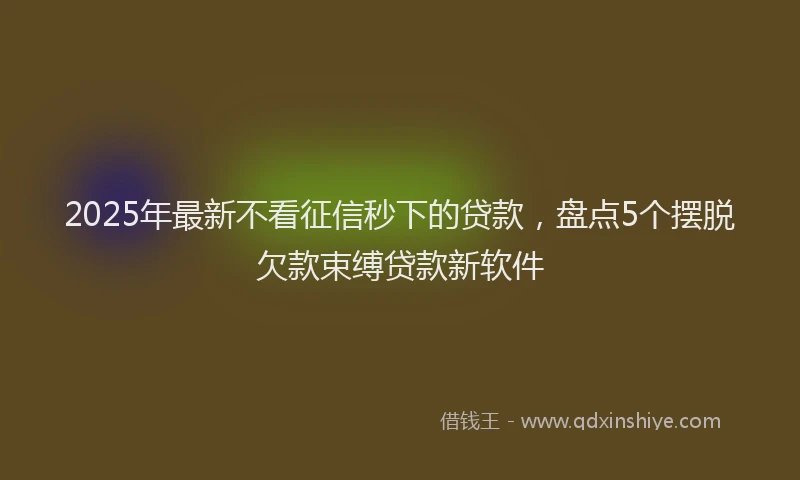 2025年最新不看征信秒下的贷款，盘点5个摆脱欠款束缚贷款新软件