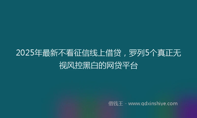 2025年最新不看征信线上借贷，罗列5个真正无视风控黑白的网贷平台