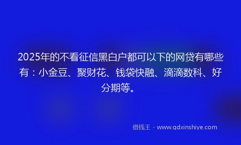 2025年的不看征信黑白户都可以下的网贷有哪些有：小金豆、聚财花、钱袋快融、滴滴数科、好分期等。