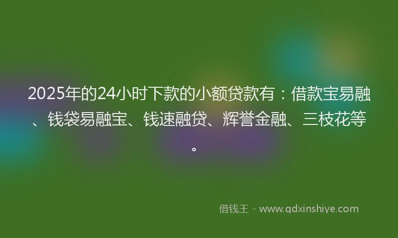 2025年的24小时下款的小额贷款有：借款宝易融、钱袋易融宝、钱速融贷、辉誉金融、三枝花等。