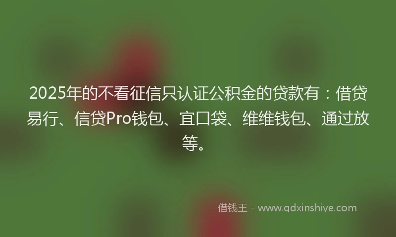 2025年的不看征信只认证公积金的贷款有：借贷易行、信贷Pro钱包、宜口袋、维维钱包、通过放等。