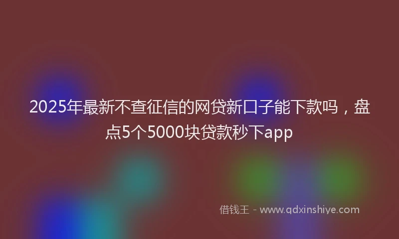 2025年最新不查征信的网贷新口子能下款吗，盘点5个5000块贷款秒下app