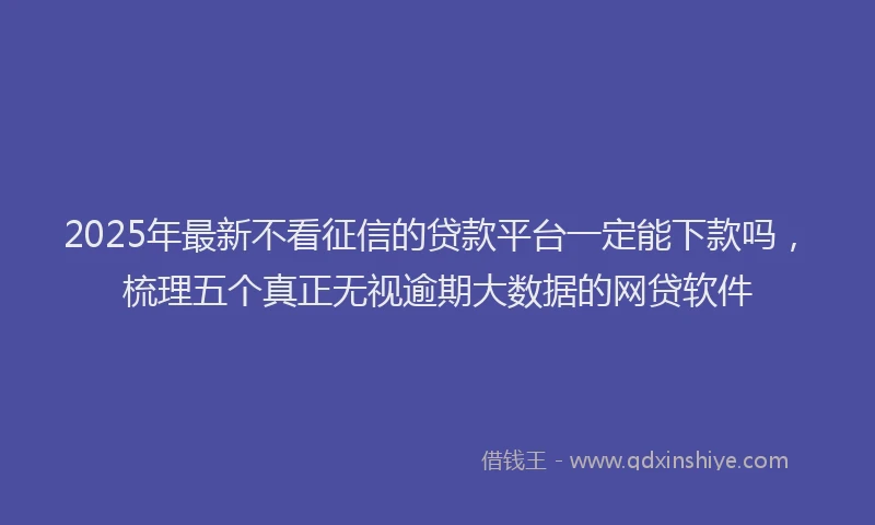 2025年最新不看征信的贷款平台一定能下款吗，梳理五个真正无视逾期大数据的网贷软件