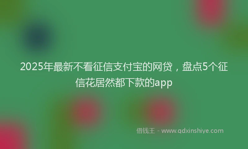 2025年最新不看征信支付宝的网贷，盘点5个征信花居然都下款的app